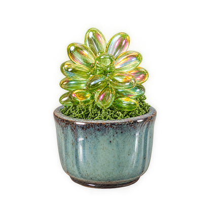 DIY Glass Succulent Potted Plant Craft Kit (Makes 2 Pots)