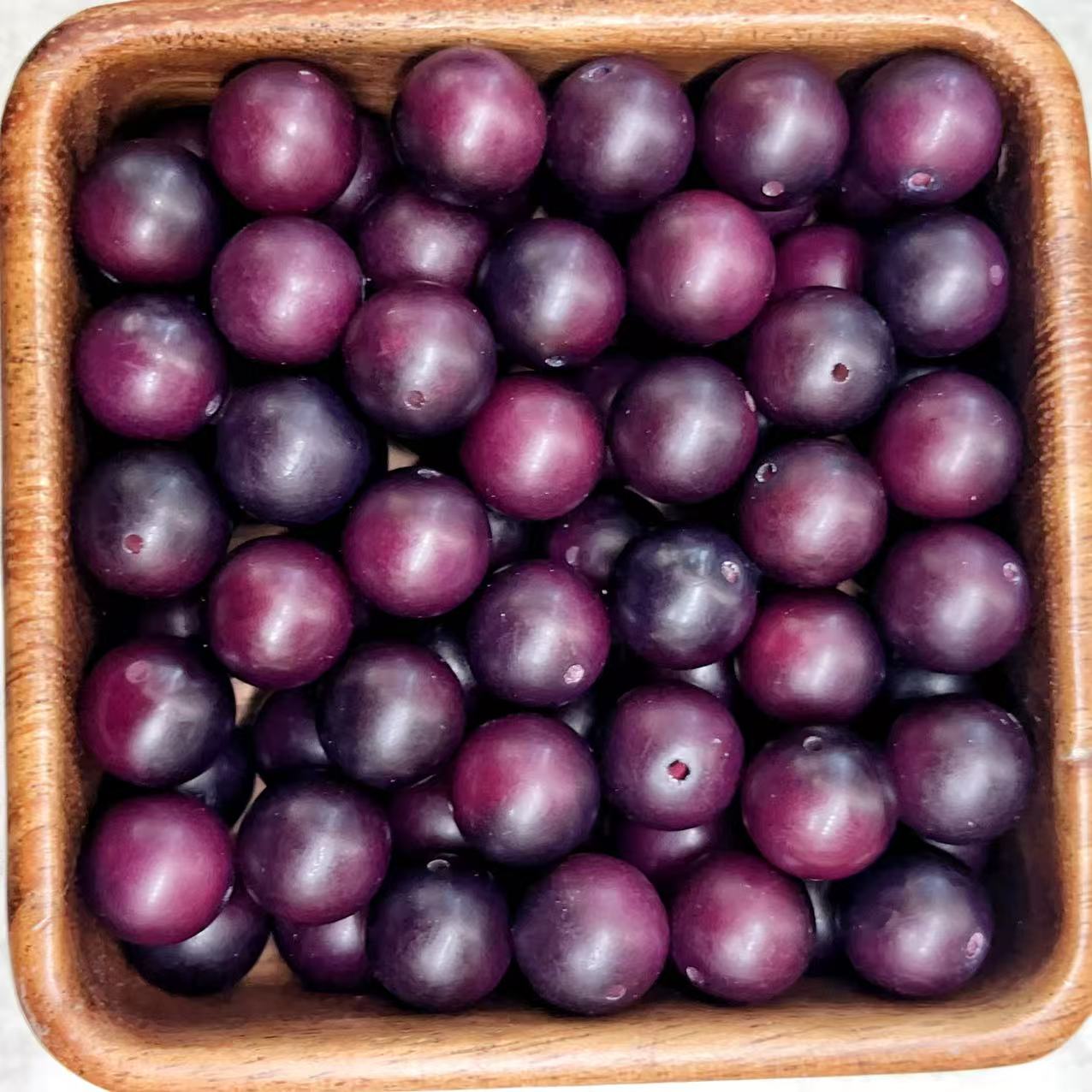Premium Bodhi Seeds Beads Collection | Various Sizes &amp; Natural Colors for DIY Jewelry Making