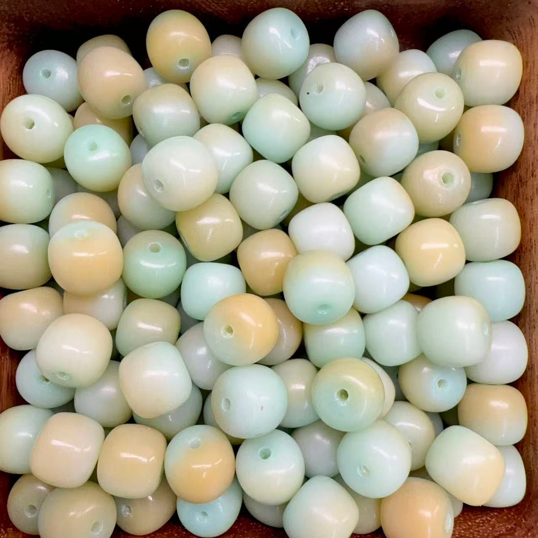 【New】10*11mm Bodhi High Oil and High Density