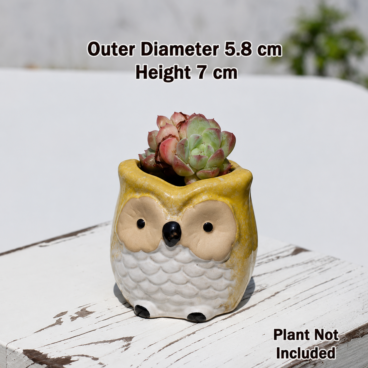 Kawaii Owl Succulent Pots Series