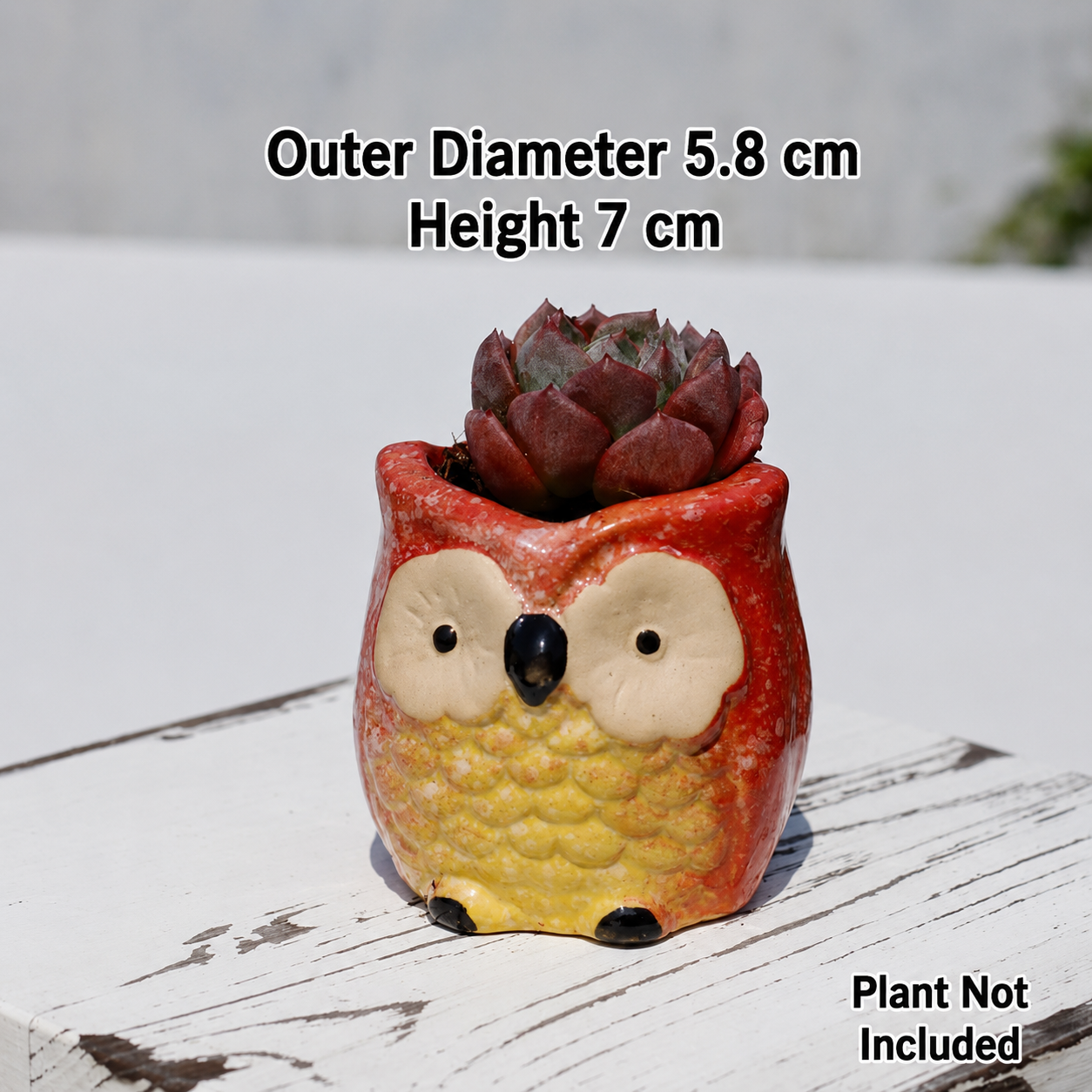 Kawaii Owl Succulent Pots Series