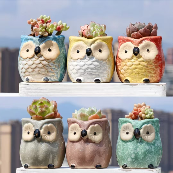 Kawaii Owl Succulent Pots Series | Mini Ceramic Planters with Drainage, Breathable Coarse Clay Empty Flowerpots for Desktop Cactus (Plants Not Included)