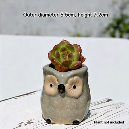 Kawaii Owl Succulent Pots Series | Mini Ceramic Planters with Drainage, Breathable Coarse Clay Empty Flowerpots for Desktop Cactus (Plants Not Included)