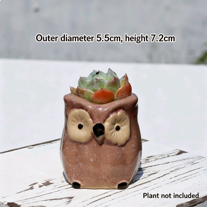 Kawaii Owl Succulent Pots Series | Mini Ceramic Planters with Drainage, Breathable Coarse Clay Empty Flowerpots for Desktop Cactus (Plants Not Included)
