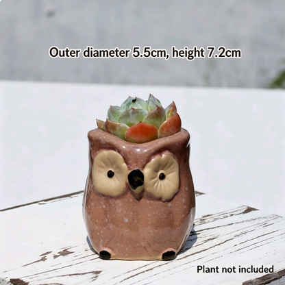 Kawaii Owl Succulent Pots Series | Mini Ceramic Planters with Drainage, Breathable Coarse Clay Empty Flowerpots for Desktop Cactus (Plants Not Included)